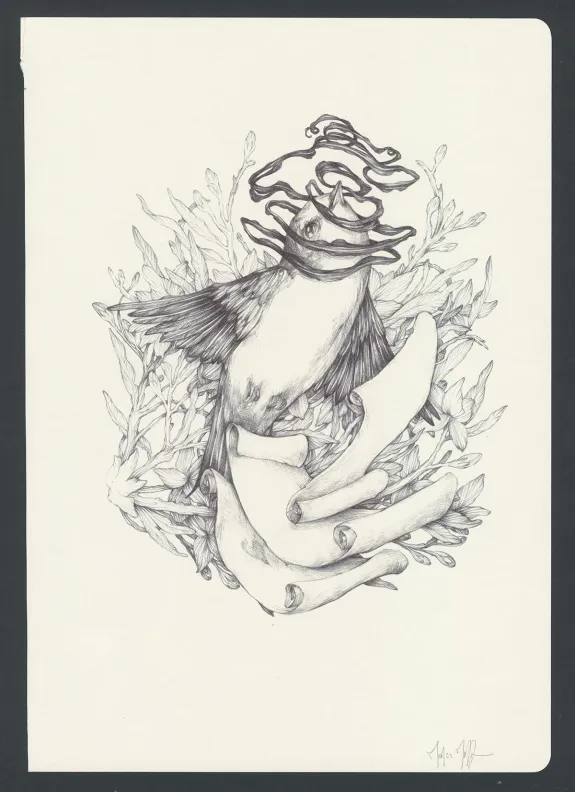 Illustration couleur, Marco Mazzoni