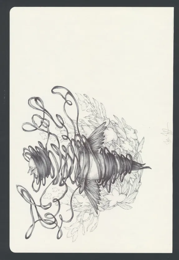 Colored illustration, Marco Mazzoni