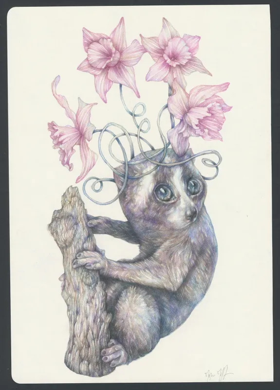 Illustration couleur, Marco Mazzoni