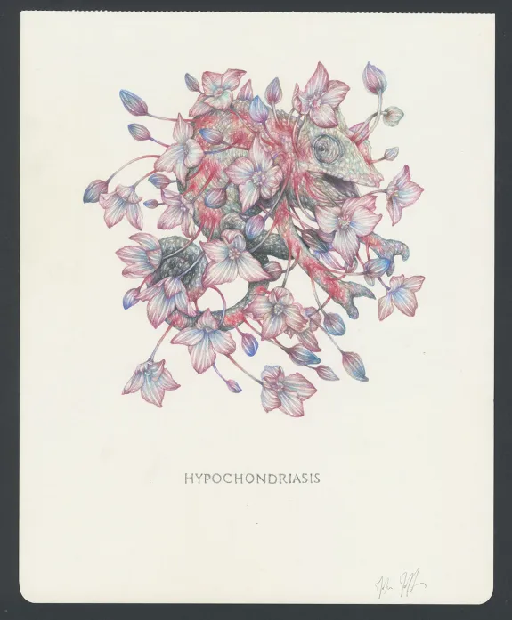 Illustration couleur, Marco Mazzoni