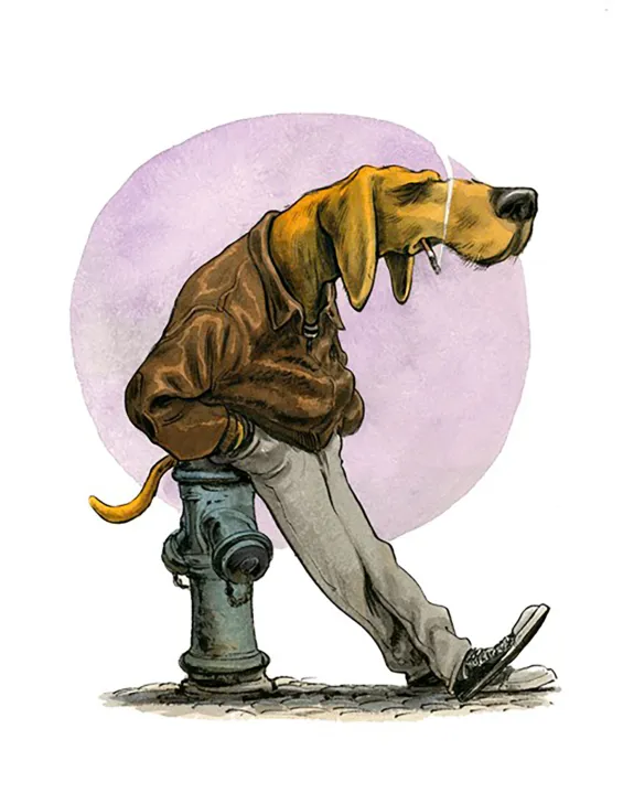 Illustration couleur,  Guznag