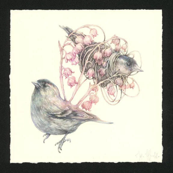 Illustration couleur, Journaux troublés, Marco Mazzoni
