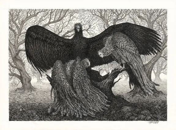 Illustration noir et blanc, Tom Cuzor