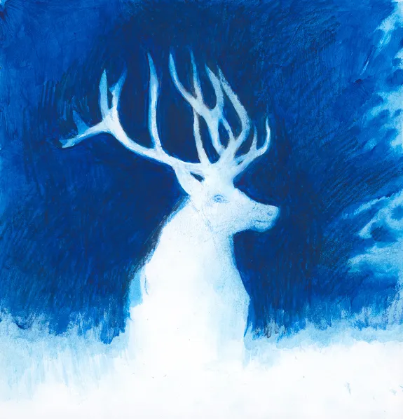 Illustration couleur, Les Grands Cerfs, Gaétan Nocq