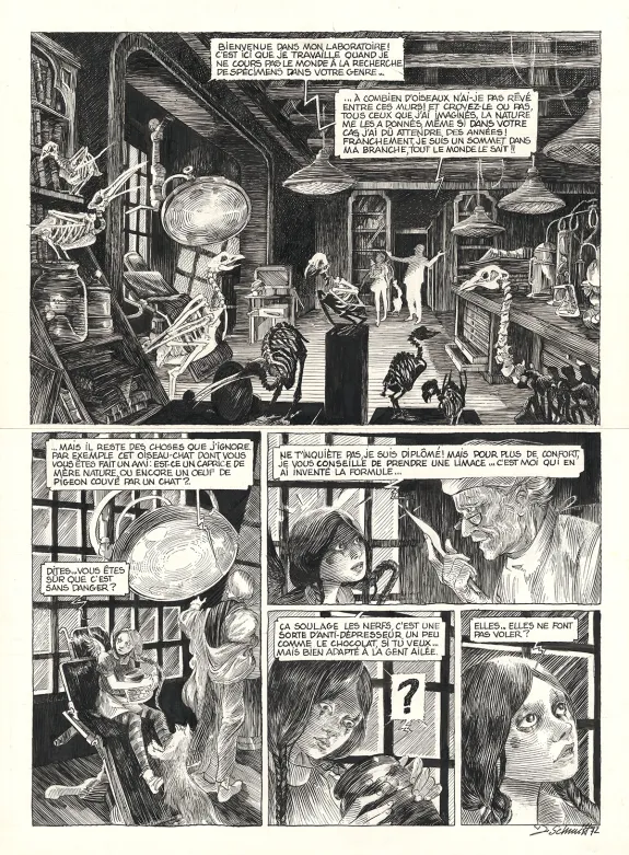 Planche noir et blanc, Ornithomaniacs, Daria Schmitt