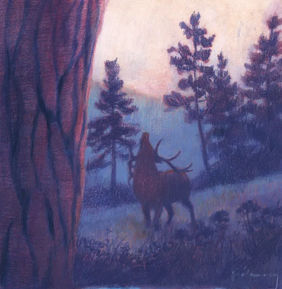 Illustration couleur, Les Grands Cerfs, Gaétan Nocq