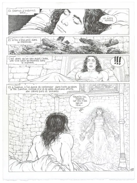 Planche noir et blanc, Complainte des Landes Perdues, La Fée Sanctus (T.7), Philippe Delaby