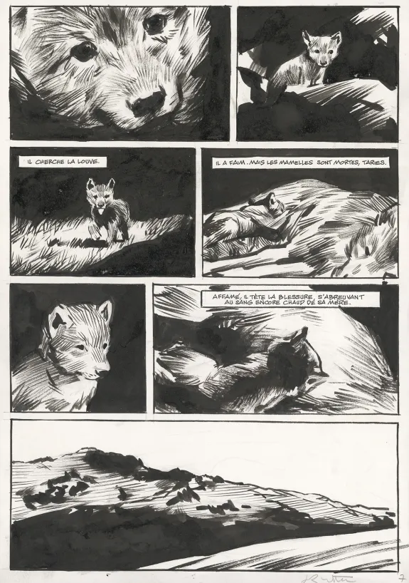 Black and white original page, Le Loup, Jean-Marc Rochette