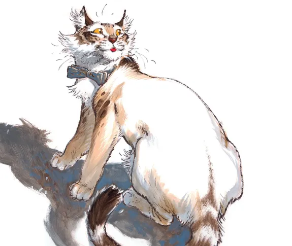 Illustration couleur, Frank Pé