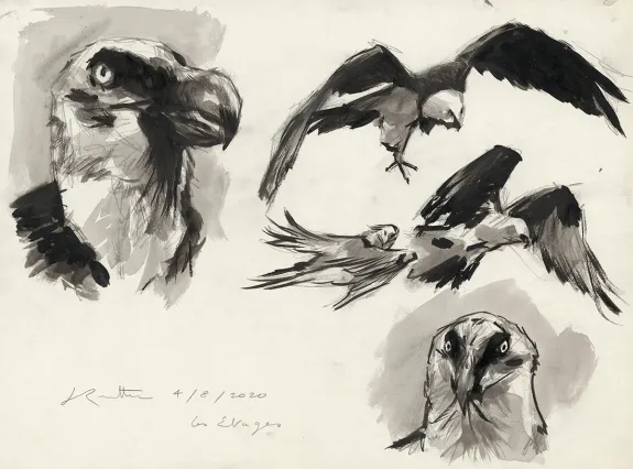 Black and white illustration, Bestiaire des Alpes, Jean-Marc Rochette