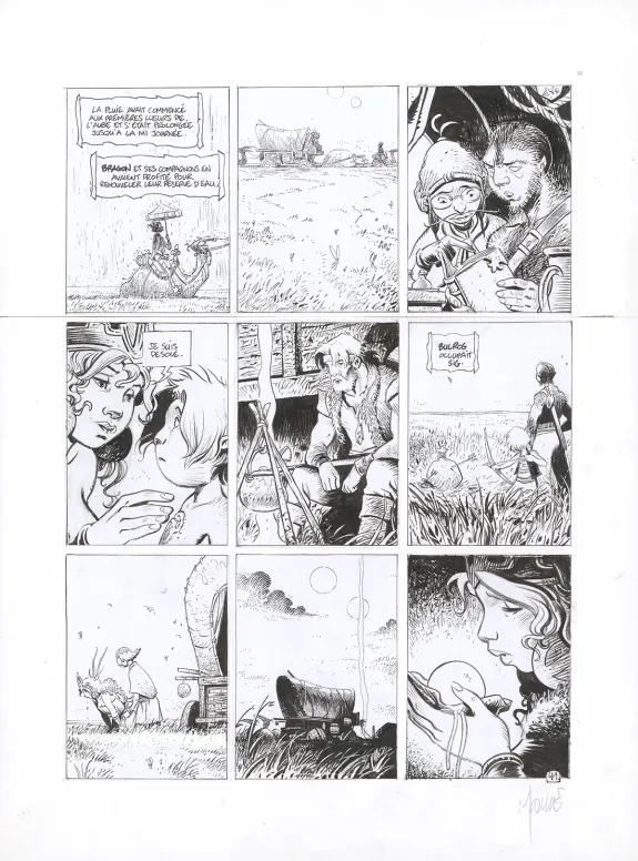 Planche noir et blanc, La Quête de l'Oiseau du Temps, L'Omégon (T.8), Vincent Mallié