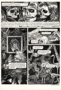 Planche noir et blanc, La Tête de mort venue de Suède, Daria Schmitt