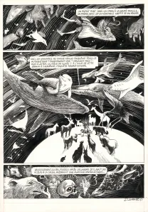 Planche noir et blanc, La Tête de mort venue de Suède, Daria Schmitt