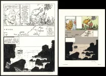 Planche noir et blanc, Yiyun,  Cosey