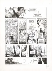 Planche noir et blanc, La Quête de l'Oiseau du Temps, Le Chevalier Bragon (T.4), Vincent Mallié