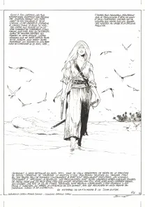 Planche noir et blanc, Ann Bonny, la louve des Caraïbes, Livre II (T.2), Franck Bonnet