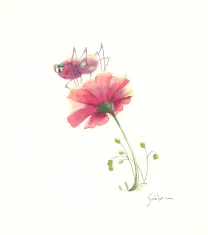 Illustration couleur, À la découverte des humains, Quentin Gréban