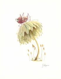 Illustration couleur, À la découverte des humains, Quentin Gréban