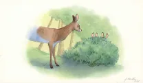Illustration couleur, Les merveilleuses histoires de Grand Père dans la forêt, Julie Mellan