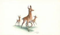 Illustration couleur, Les merveilleuses histoires de Grand Père dans la forêt, Julie Mellan
