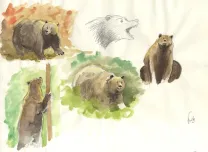 Illustration couleur, Popotka le petit sioux, Fred Simon