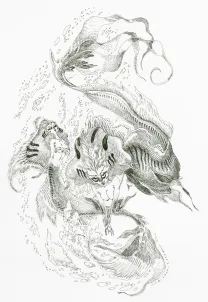 Illustration noir et blanc, Giovanni Rigano