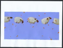 Illustration couleur, Le Petit arbre qui voulait devenir un nuage, Frédéric Pillot