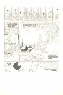 Planche noir et blanc, Le Vent dans les Saules , Auto, Crapaud, Blaireau (T.2), Michel Plessix