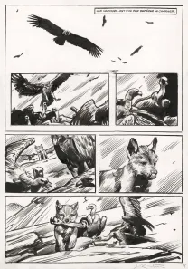 Planche noir et blanc, Le Loup, Jean-Marc Rochette