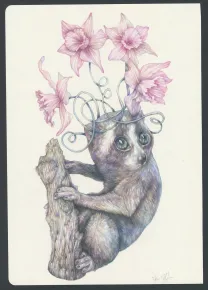 Illustration couleur, Marco Mazzoni