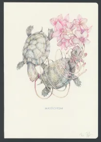 Illustration couleur, Marco Mazzoni