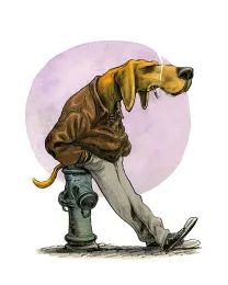 Illustration couleur,  Guznag