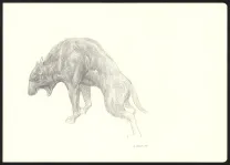 Illustration noir et blanc, Les Carnets Lovecraft, Le Molosse, Armel Gaulme