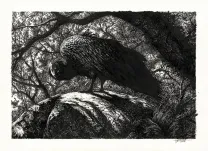 Illustration noir et blanc, Tom Cuzor