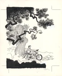 Cover, Jonathan, Intégrale - T.15-16 (T.6),  Cosey