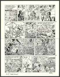 Black and white original page, Le Marsupilami, Cœur d'étoile (T.27),  Batem