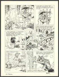 Planche noir et blanc, Le Marsupilami, Le Pollen du Monte Urticando (T.4),  Batem