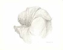 Illustration noir et blanc, Les Carnets Lovecraft, Le Festival , Armel Gaulme