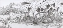 Illustration noir et blanc, Le Marsupilami,  Batem