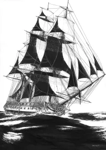 Illustration noir et blanc, Franck Bonnet