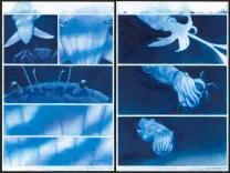Planche couleur, Octopolis, Gaétan Nocq