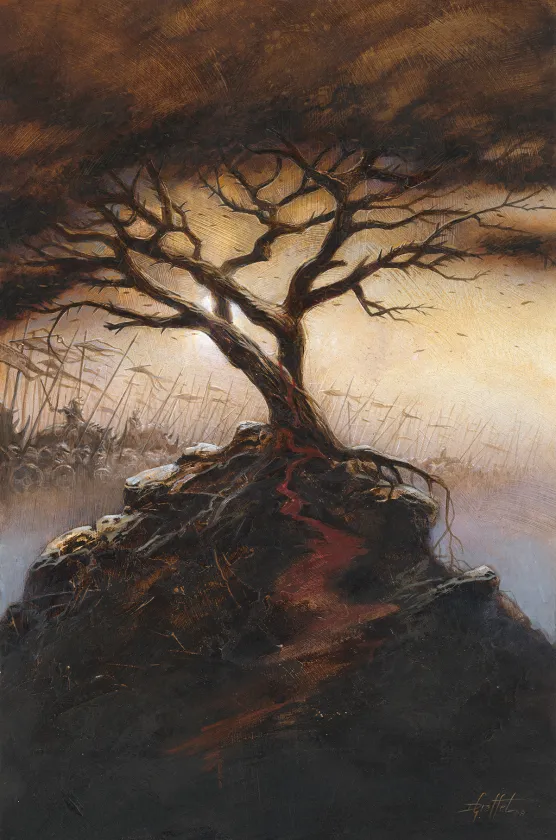 Couverture, Acacia, La Guerre du Mein (T.1), Didier Graffet