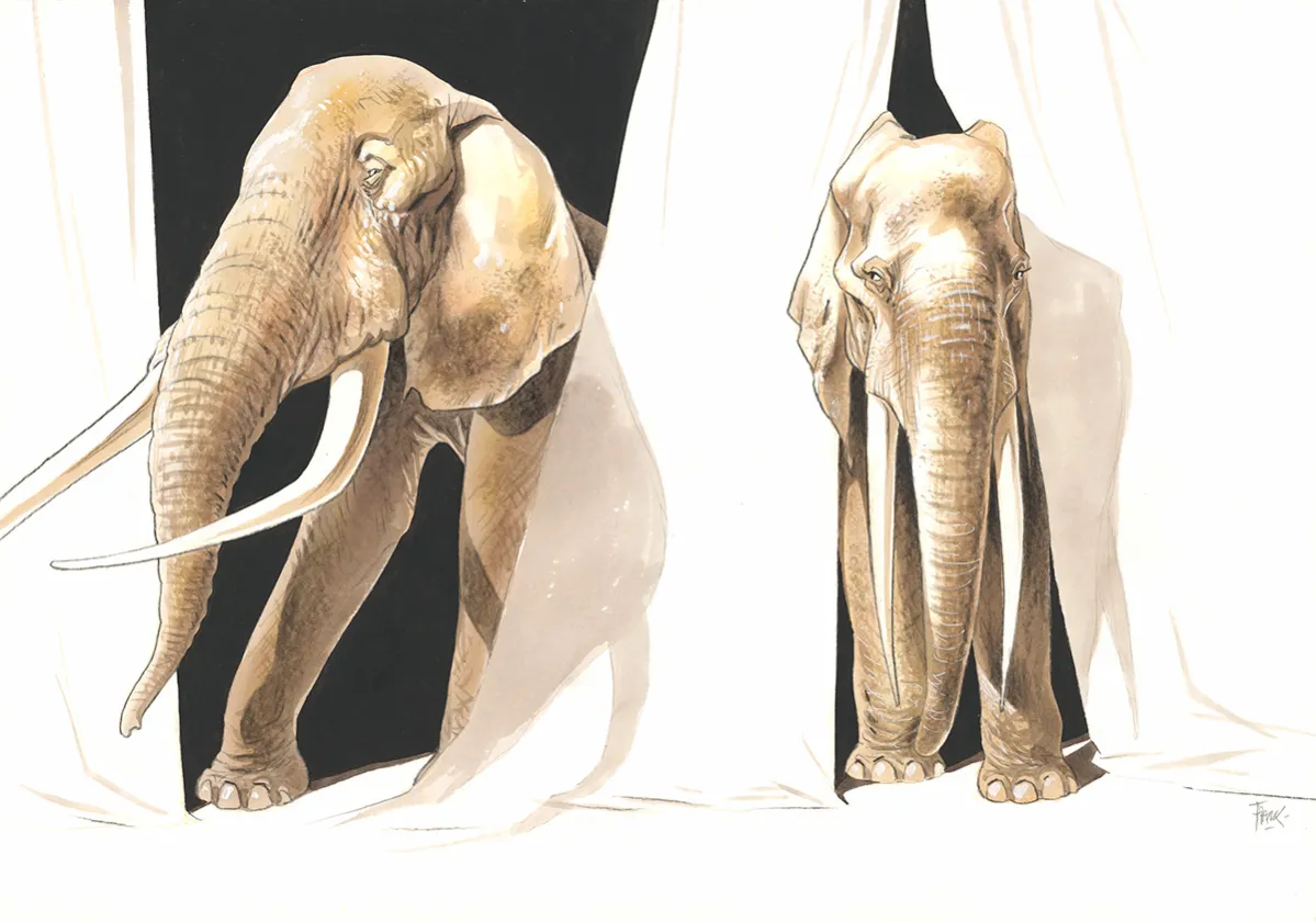 Illustration couleur, Frank Pé