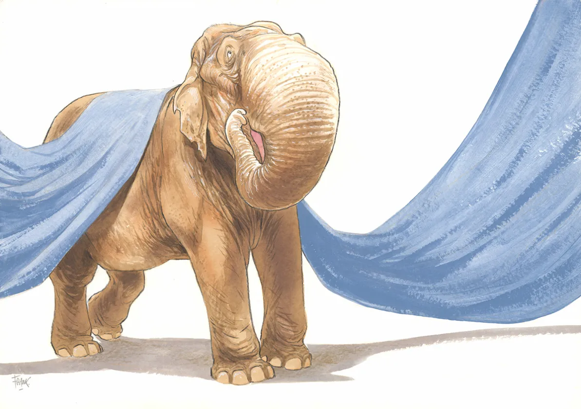 Illustration couleur, Frank Pé