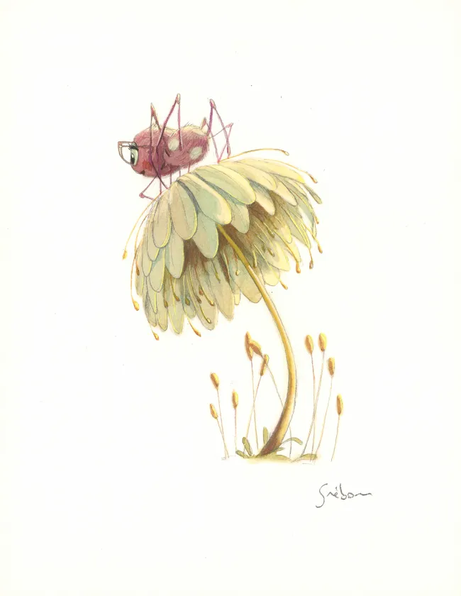 Illustration couleur, À la découverte des humains, Quentin Gréban