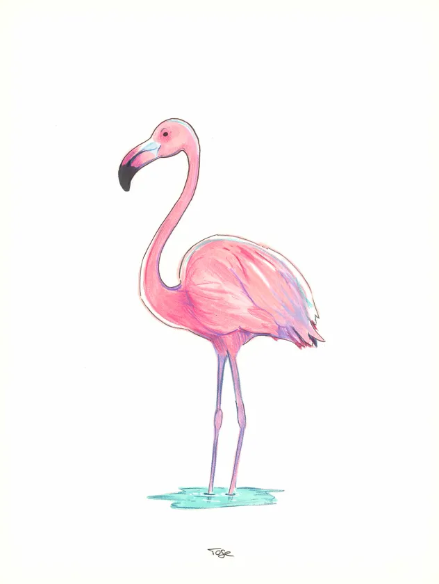 Colored illustration, Maison Croa Croa, Davide Tosello