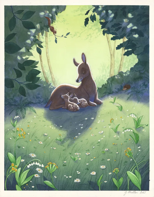 Illustration couleur, Les merveilleuses histoires de Grand Père dans la forêt, Julie Mellan