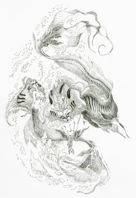 Illustration noir et blanc, Giovanni Rigano