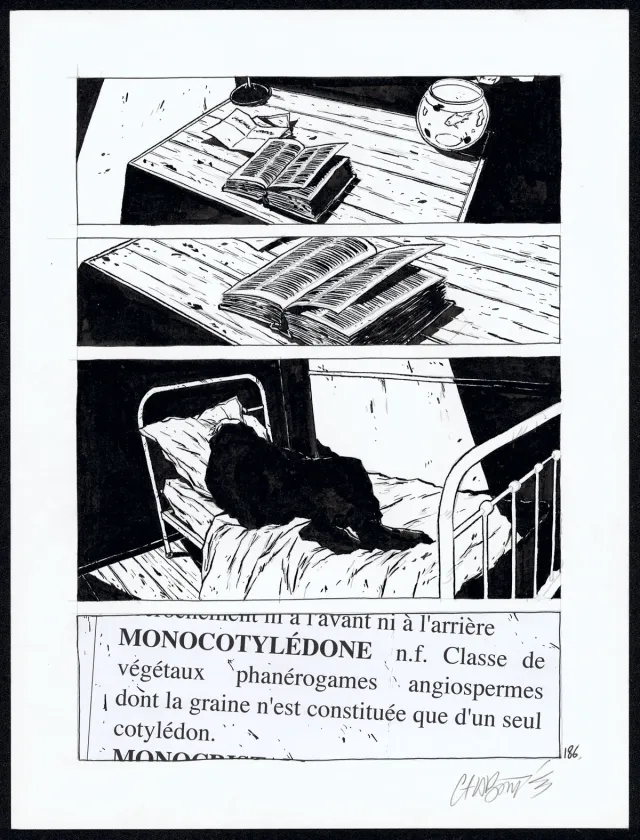 Black and white original page, Tout seul, Christophe Chabouté