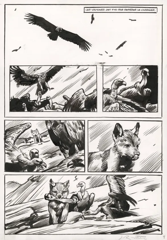 Planche noir et blanc, Le Loup, Jean-Marc Rochette